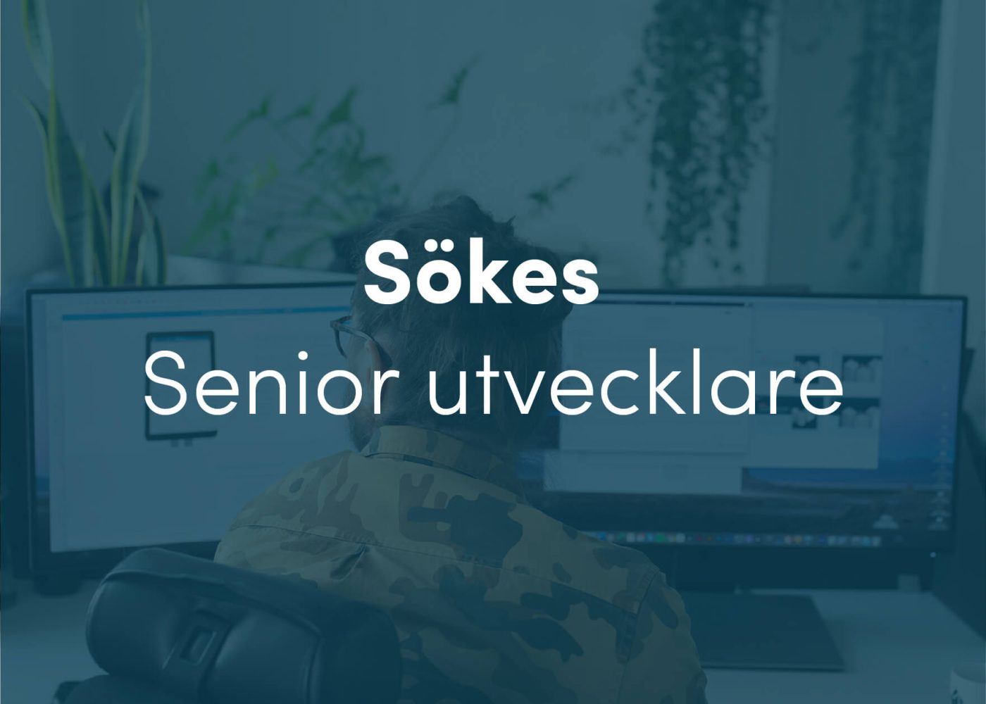 En person med långt hår sitter vid ett skrivbord och arbetar på en dator med flera skärmar. Överlagrad text på svenska lyder Sökes Senior utvecklare.