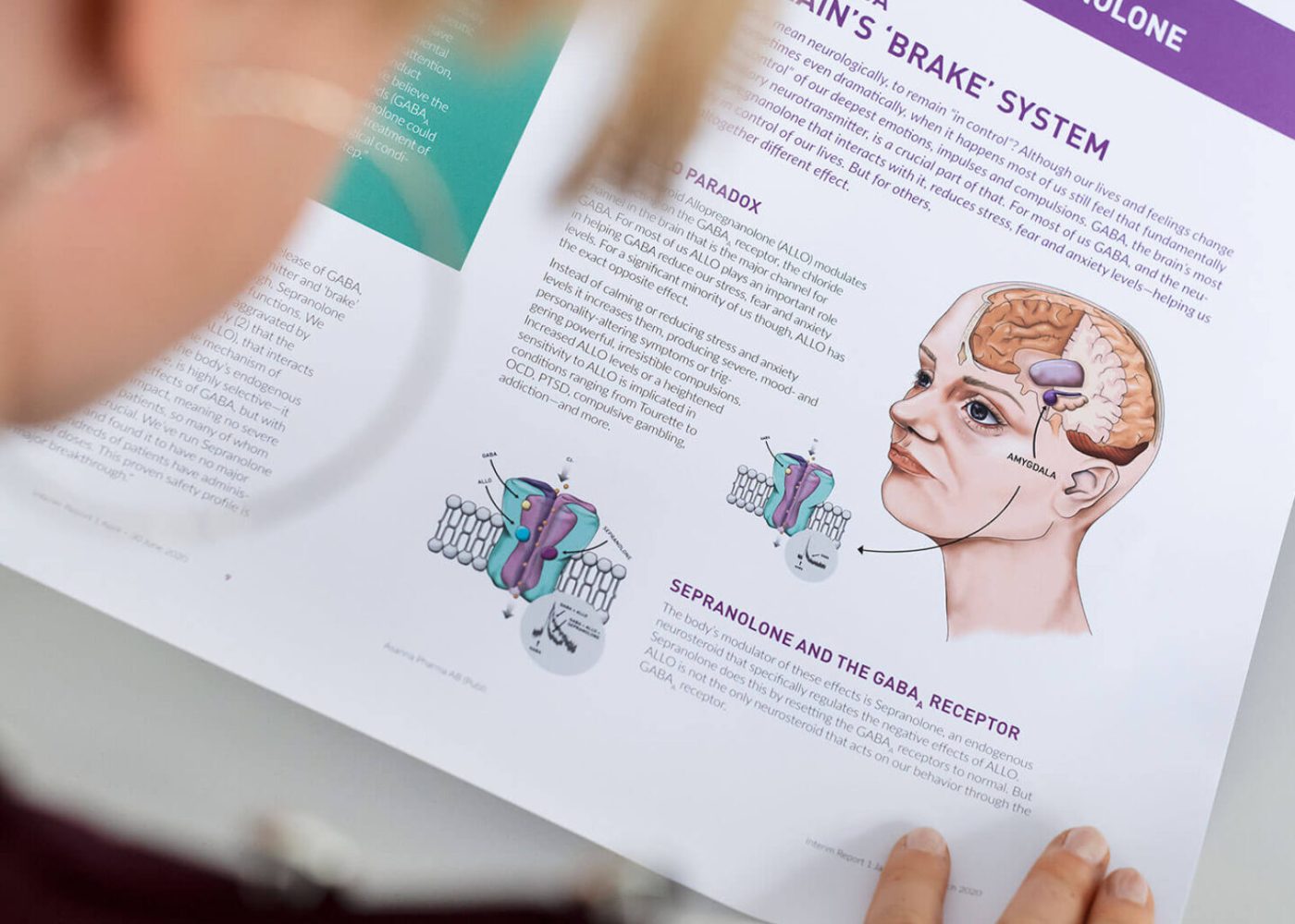 En person läser en vetenskaplig broschyr med diagram över en mänsklig hjärna och receptorer, med informationstext om GABA och hjärnans 